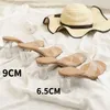 HBP Non-Brand Nude Farbe Sommer Günstiger Preis Neueste Sexy Mode Hausschuhe Damen Pantoletten Frauen Transparente Schuhe mit Blockabsatz