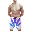 Shorts pour hommes Leaf-Purple Haze Sport Running Beach Trunk Pantalon avec doublure en maille Trunks Violet Bleu Abstrait High