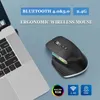 Mouse da gioco wireless Bluetooth 24G Mouse muto trimodale ergonomico USBC RGB ricaricabile 5DPI per tablet PC portatile 240309