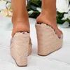 HBP Non-Brand Fashion Palm Thick Clear Plastic Women Slippers Trending Wedges Platform Sandals