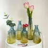 Wazony Retro Glass Relief Transpared dekoracyjny wazon Hydroponiczny układ kwiatowy