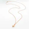 Designer Tiffay en Co Bull Horn Temperament Water Drop Necklace Dames Fashion Elegance Simplicity Collarbone Chain Creative Art Jewelry Trend