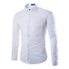 Herrklänningskjortor Mens Mens Solid Color Shirt Casual Long Sleeve Top Button Blue Lapel för höstens flera storlekar tillgängliga