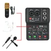 Draagbare Audio Interface Professionele Mini Externe Geluidskaart Mixer 48V Computer Gitaar Studio PC Record Teyun Q-12 Apparatuur 240314