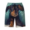 شورتات الرجال dachshund cartoon pattern mens swim trunks beachwear Quick Dry Beach Board Wiener Sausage Dog Swimming Boardshorts