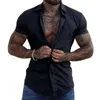 Men's Casual Shirts Men Solid Color Shirt Lapel Collar Stylish Slim Fit Summer With Turn-down Short Sleeves For Formal