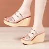 Hausschuhe Kleine Größe 32-43 Chunky Plateau Wedges Schuhe Klar Transparent Sommer 2024 Damen High Heels Slides Büro Strand Mama