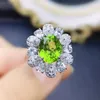 Clusterringen Natuurlijke Echte Groene Peridot Ring Bloemstijl Per Sieraden 925 Sterling Zilver 0,3 ct 6 st 2,5 ct 1 st Edelsteen Fijn T238258