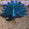 Escultura de pavão em forma vívida, estátua de animal, antioxidante, decoração de jardim, ornamento resistente ao desgaste 240312