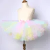 Jurken Pastel Eenhoorn Tutu Rok voor Baby Meisjes Dans Tutu's Kinderen Tule Rokken voor Verjaardag Nieuwjaar Kostuum Peuter Outfits 3m14 Jaar