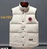 Veste canadienne hiver vestido gilet hommes bas gilets de luxe bodywarmer vestes de mode femmes gilet designer manteau mâle doudoune luxe oie veste homme manteau 2024