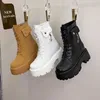 HBP Non-Brand Frauen Schuh Stiefeletten Warme Plüsch Winter Schuhe 9CM Versteckte Absätze Chunky Stiefel Plattform Leder Motorrad Schuhe Frau Botas Mujer