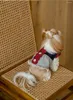 Odzież dla psa Sprężyna i jesień mały kolor kontrastowy pasek spódniczka kota Biped Bipeds Teddy Bear średniej wielkości ubrania dla zwierząt domowych