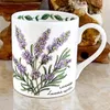 Tazze Tazza con motivo lavanda Tazza da tè per la casa Tazza da caffè in ceramica stile nordico Tazze d'acqua Set pomeridiano Stoviglie in ceramica Artigianato