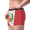 Onderbroeken Herenmode Vlag van Peru Peruaans ondergoed Boxershorts Heren Stretchshorts Slipje
