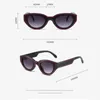 Sunglasses Y2K Cat Eye Women For Men 2024 Vintage Sun Glasses Designer Punk Pink Stripe Hip Hop Shades