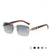 Solglasögon 2024 fyrkantiga kantlösa träben Män designer Kör lins solglasögon med leopard klassiska glasögon UV400 de Sol Mujer
