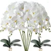 Fleurs décoratives 6 pièces orchidée artificielle papillon papillon décoration de maison accessoires de décoration de mariage