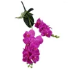 Fleurs décoratives orchidée papillon artificielle Durable 12 têtes orchidées en plastique pour Bouquets de mariée décorations pour la maison