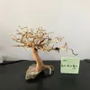 100% rękodzieło akwarium bonsai drifwood drzewo mchu bonsai drifwood drzewo drzewa drewniane ornament naturalne gałęzie 240401