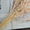 Dekorative Blumen DIY Rustikale Hochzeit Konservierte Hafersträuße Bündel Natürliche goldene trockene Weizenkörner Heimdekoration
