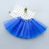 Baby Girls Clothes TUTU Skirts Kids Dance Mini Dresses Ballet Tulle Pettiskirt Fluffy Princess Fancy Party Skirt Costume Dancewear LL