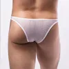 Underpants Sexy Mens Ultra Thin Mesh Briefs Bulge Pouch Underwear Mal Low Rise Bikini Trunks Summer Soft Sport Panties Lingerie
