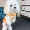 Ropa para perros Chaleco de verano Dobladillo con volantes Algodón de dos patas Impresión de frutas Camiseta para mascotas Camisa de disfraz