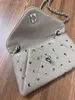 Womens Versatile New Internet Popular Trendy One Shoulder Diagonal Straddle Bag Black Silver Fashion Full Envelope Chain