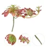 Fleurs décoratives Simulation plante succulente fournitures de ménage jardinières orner Po accessoire décor réaliste verdure faux rotin extérieur exquis