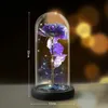 LED Enchanted Galaxy Rose Lamp Eternal 24K Gold Foil Flower With Fairy String Light In Glass Dome Christmas Valentines Day Gift 240314