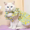 猫のコスチュームスリーブペット衣装フラワープリントドレスプリンセススタイルセットスカートマッチング犬