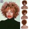 Perruques MSIWIGS Court Brun Blond Cheveux Afro Perruque pour Femmes Coupe Pixie Knkly Curl Doux Pas Cher Postiches Noir Synthétique Cosply Fausse Perruque