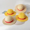 Luffy Sombrero de paja Anime Cosplay Sombreros de verano para adultos Gorra de playa Halloween Hombres Mujeres 240309