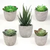 Flores decorativas mini plantas artificiais bonsai simulado aloe falso mesa de escritório enfeites em vasos decoração de jardim para casa