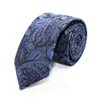 Designer Tie Mens Fashion Formal Dress Polyester Casual Trend British Paisley Mönster {Kategori}