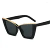 Sunglasses Cat Eye Shape For Men European American Stylish Outdoor Sun Glasses Vintage Hip Hop Women