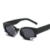 Sonnenbrille, stilvolle Y2K-Damen-Vintage-Retro-Schlangendekoration, Damenbrille, ovale Form, dekorative Sonnenbrille