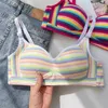 BRAS SEXY BH FÖR KVINNA Toppar Dopamine Rainbow Girl Seamless Steel Ring Free Underwear Lingerie BRALETTE