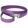 Colliers pour chiens accessoires pour animaux de compagnie corde en cuir Pu formation produits de marche laisse de couleur unie pour chiens collier Para Perro
