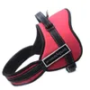 Sports Harkness Set Work Guide Blind Dog Chest and Back Traction Pet Heart Protection Strap