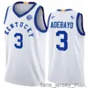 Basketball Kentucky Wildcats College Jersey 3 Bam Ado 15 Willie Cauley-Stein 12 Brandon Knight 4 Hamidou Diallo 21 Tayshaun Prince 3 Tyler Ulis University NCAA