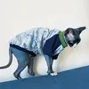 猫の衣装ファッションコットン漫画シャツsphiynx長袖コート子猫夏ソフトブルースウェットシャツデボンレックス