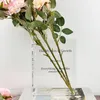 Vazolar kitap vazo dekorasyonu su dikimi için akrilik ev ofis hediye severler temiz