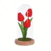 Fleurs décoratives SWEETOME tulipe cadeau veilleuse anniversaire pour femmes enfants avec fleur artificielle couverture en verre décoration