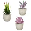 Flores decorativas mini plantas artificiais bonsai simulado aloe falso mesa de escritório enfeites em vasos decoração de jardim para casa