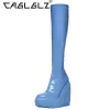 Boots 2023 Caglglz automne et hiver Nouveau femme à glissière féminine Round Head Fashion Party Laquer en cuir cale High Heel Boots 14 pouces