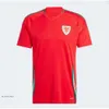 2024 25 Maillots de football du Pays de Galles Bale Wilson Allen Ramsey Coupe de l'équipe nationale du monde Rodon Vokes Accueil Chemise de football à manches courtes Uniformes pour adultes Fans Joueur 399