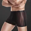 Mutande Ultrasottili che toccano la pelle Assorbimento dell'umidità Uomo Pantaloncini trasparenti a righe U-Bump Biancheria intima Mutandine Abbigliamento quotidiano