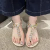 Sandálias Mulheres Cristal Flats Clip Tos Casual Sapatos Aconchegantes Caminhando Chinelos 2024 Verão Moda Vestido Flip Flops Mujer Slides